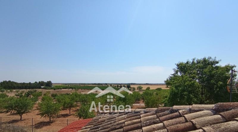 Albacete - La Roda - 6600m2