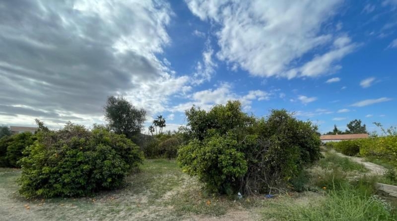 Murcia - Murcia - 3101m2