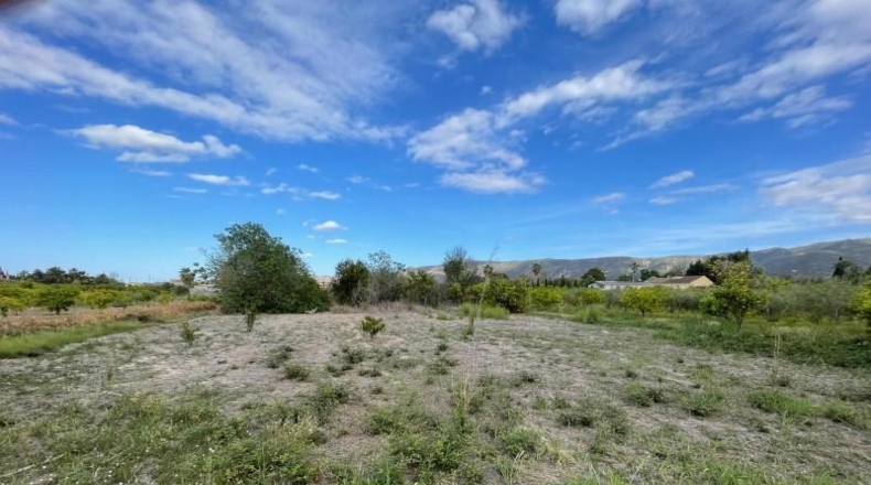 Murcia - Murcia - 3101m2