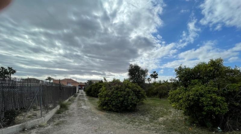 Murcia - Murcia - 3101m2
