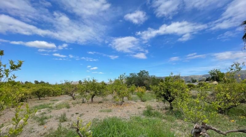 Murcia - Murcia - 3101m2