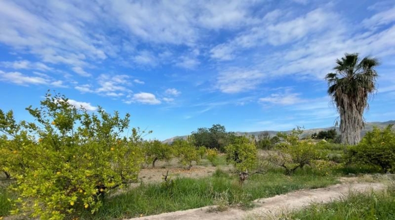 Murcia - Murcia - 3101m2