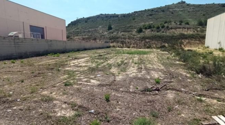 Alicante - Aspe - 622m2