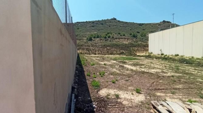 Alicante - Aspe - 622m2