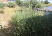Sòl urbà en venda a la España, Sierra de Fuentes, ref.: TR130355 foto