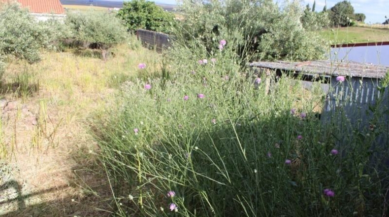 Caceres - Sierra de Fuentes - 750m2