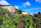 Parcel·la urbanitzable en venda a la España, Icod de los Vinos, ref.: TR130482 foto