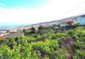 Parcel·la urbanitzable en venda a la España, Icod de los Vinos, ref.: TR130482 foto