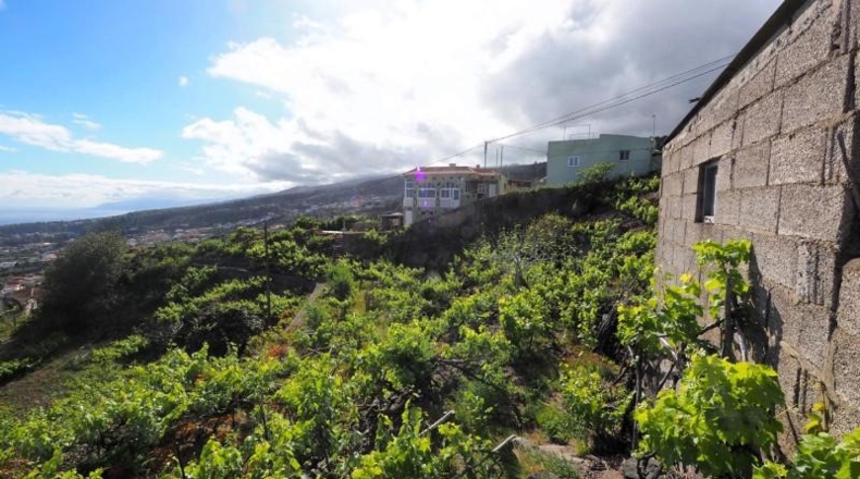 Santa Cruz de Tenerife - Icod de los Vinos - 1103m2