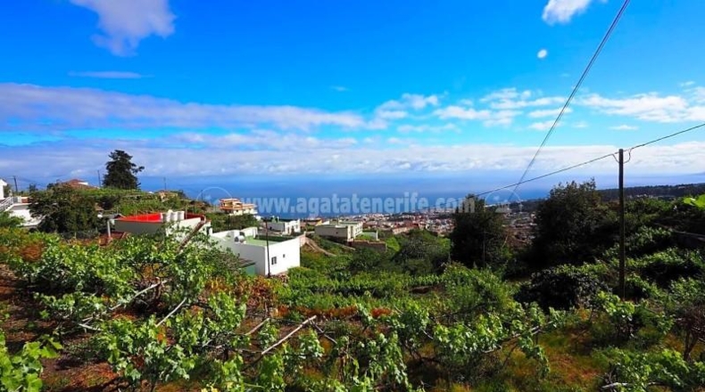 Santa Cruz de Tenerife - Icod de los Vinos - 1103m2