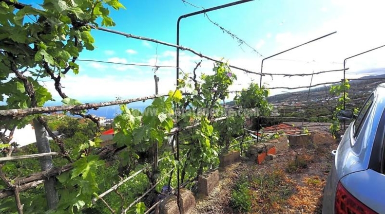 Santa Cruz de Tenerife - Icod de los Vinos - 1103m2