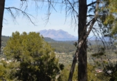 Parcel·la urbanitzable en venda a la España, Corbera de Llobregat, ref.: TR124825 foto