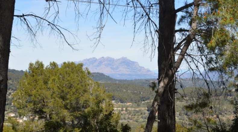 Barcelona - Corbera de Llobregat - 988m2