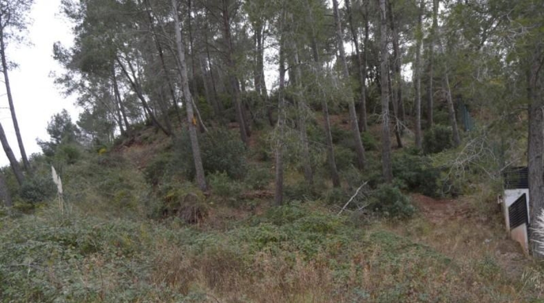 Barcelona - Corbera de Llobregat - 988m2