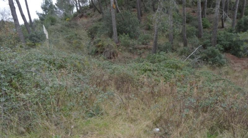 Barcelona - Corbera de Llobregat - 988m2