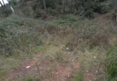 Parcel·la urbanitzable en venda a la España, Corbera de Llobregat, ref.: TR124825 foto