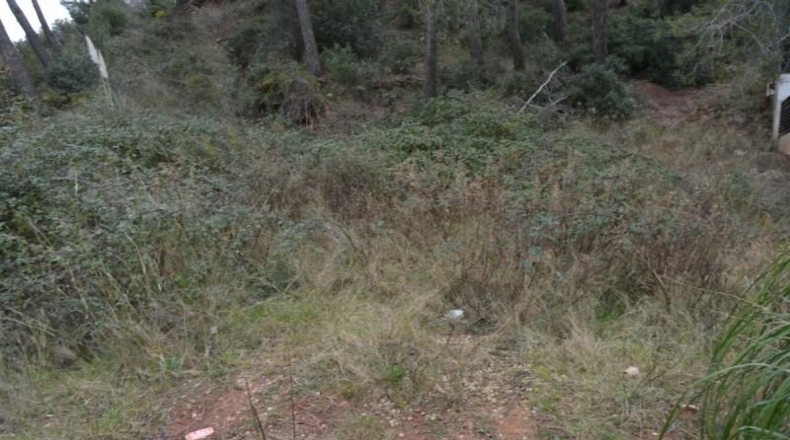 Barcelona - Corbera de Llobregat - 988m2