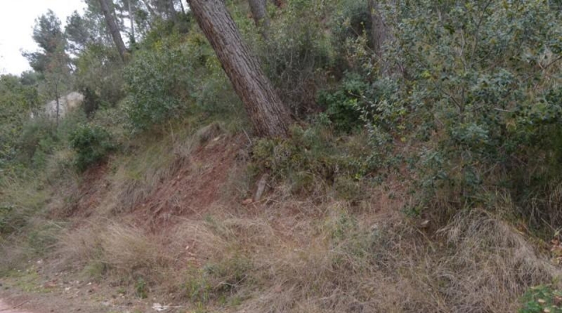 Barcelona - Corbera de Llobregat - 988m2