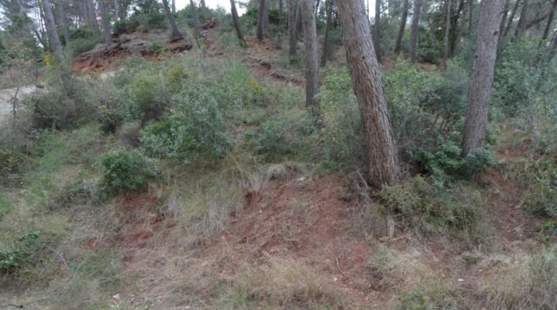 Barcelona - Corbera de Llobregat - 988m2