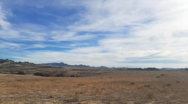 Múrcia - Lorca - 41000m2