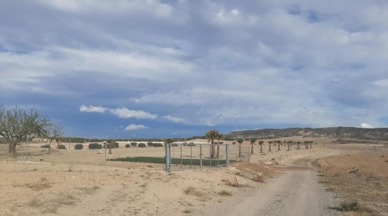 Múrcia - Lorca - 41000m2