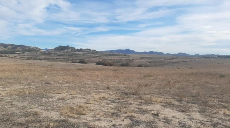 Múrcia - Lorca - 41000m2