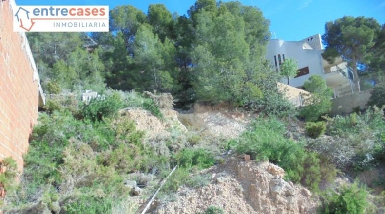 València - Gilet - 980m2