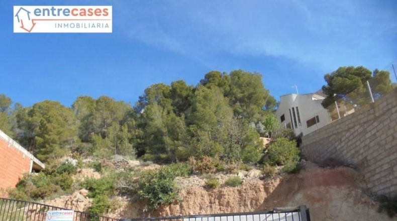 València - Gilet - 980m2