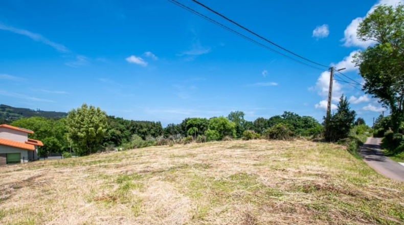 Asturias - Villaviciosa - 890m2