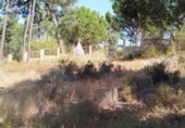Urban land for sale on España, Isla Cristina, ref: TR341330 photo