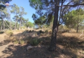 Urban land for sale on España, Isla Cristina, ref: TR341330 photo