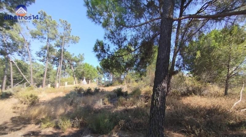 Huelva - Isla Cristina - 780m2