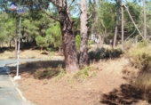 Urban land for sale on España, Isla Cristina, ref: TR341330 photo