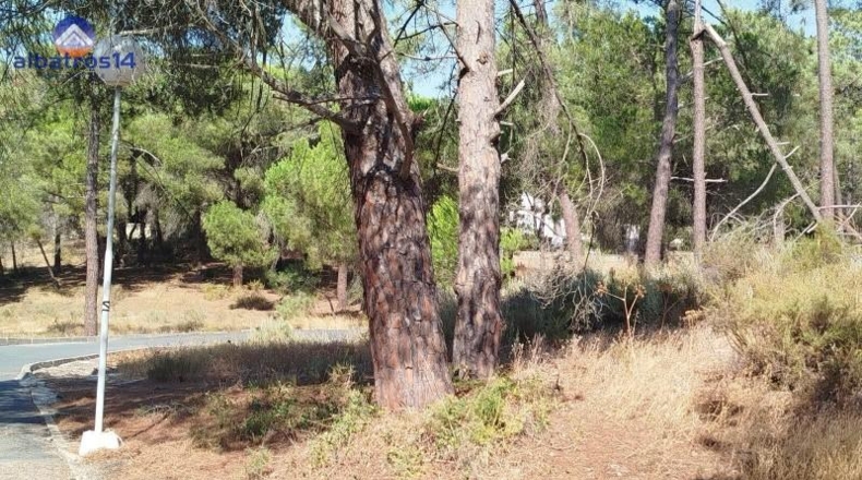 Huelva - Isla Cristina - 780m2