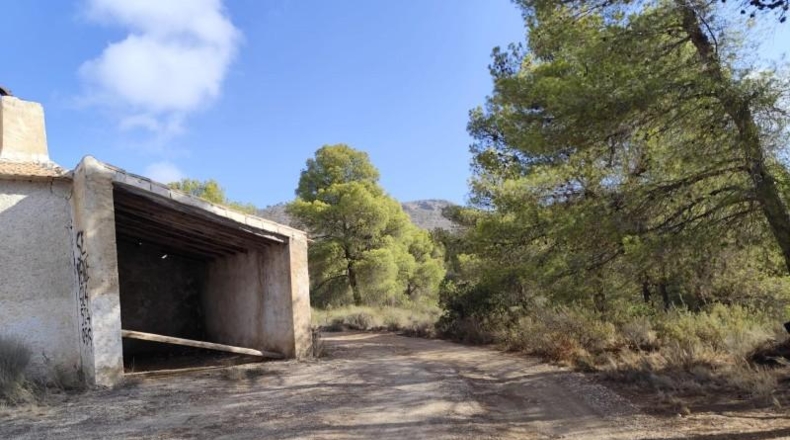 Murcia - Totana - 99140m2