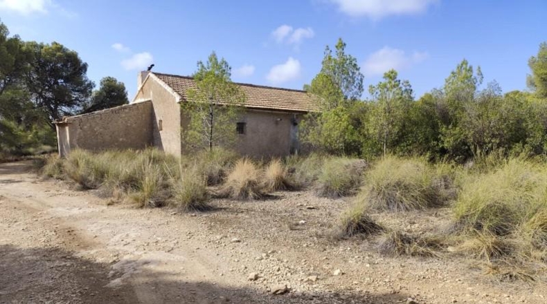 Murcia - Totana - 99140m2