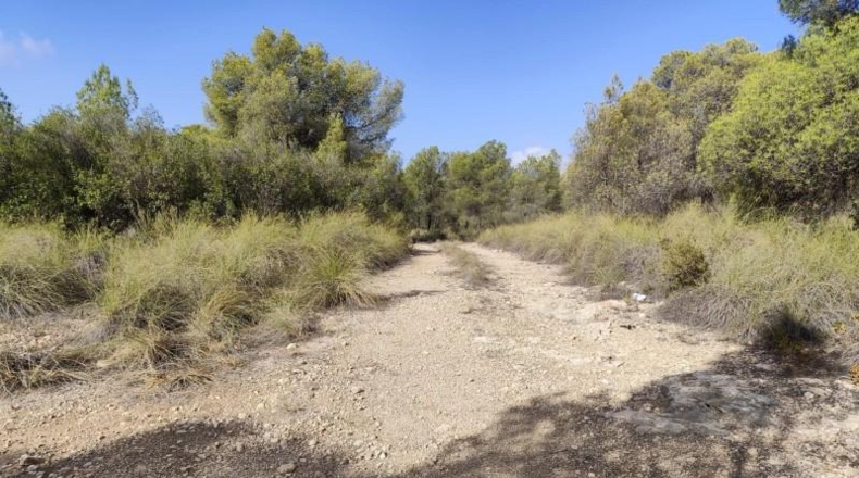 Murcia - Totana - 99140m2