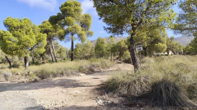Murcia - Totana - 99140m2