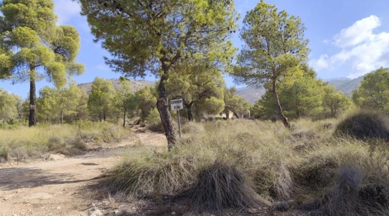 Murcia - Totana - 99140m2