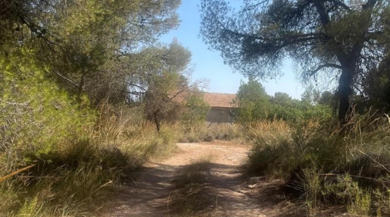 Murcia - Totana - 99140m2