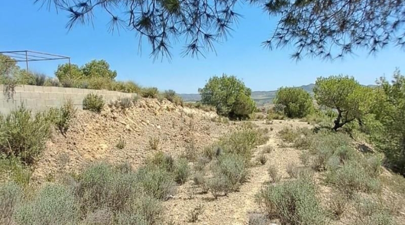 Murcia - Múrcia - 2200m2