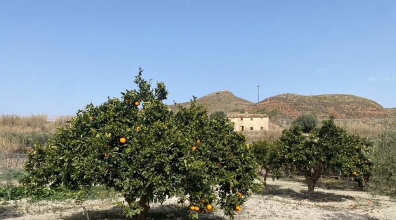 Almeria - Purchena - 1950m2