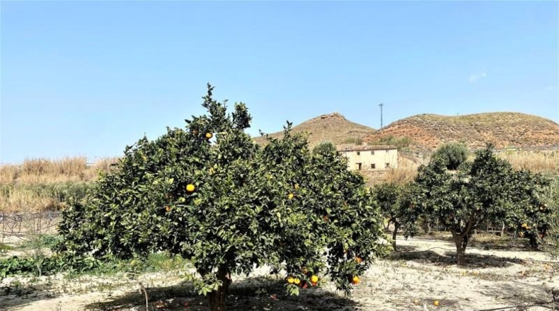 Almeria - Purchena - 1950m2