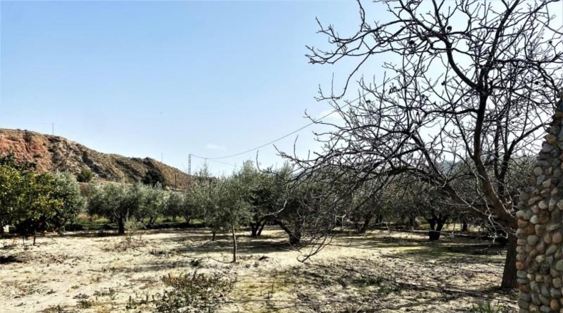 Almeria - Purchena - 1950m2