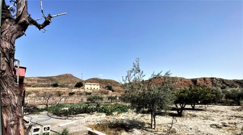 Almeria - Purchena - 1950m2
