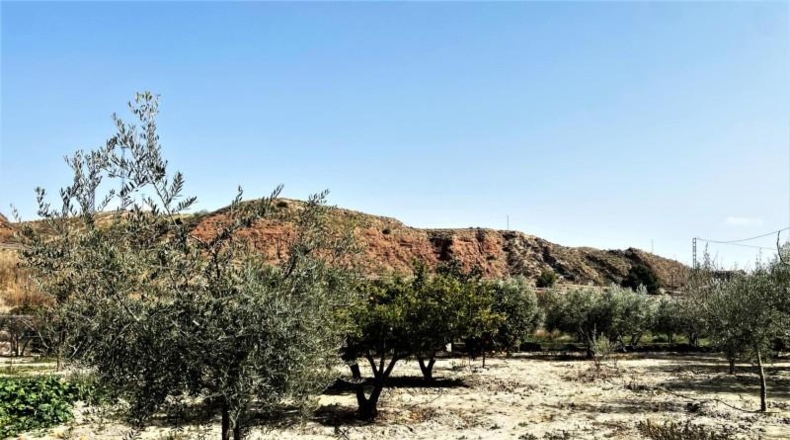Almeria - Purchena - 1950m2