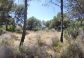 Urban land for sale on España, Olocau, ref: TR314501 photo