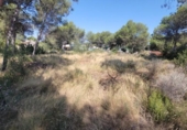 Urban land for sale on España, Olocau, ref: TR314501 photo