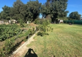 Casa amb terreny en venda a la España, Los Barrios, ref.: TR337072 foto