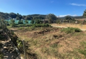 Casa amb terreny en venda a la España, Los Barrios, ref.: TR337072 foto